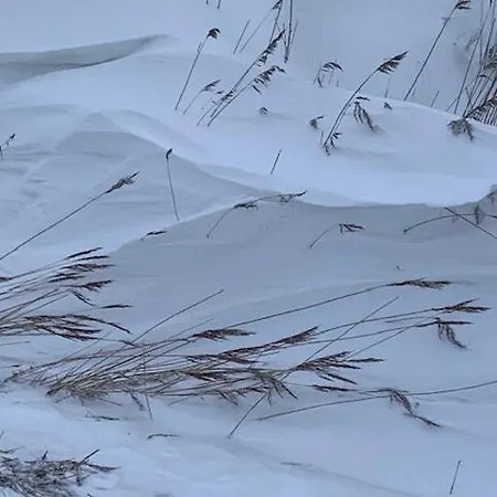 Gulfhof Polder72 Polder72 7 Here Dornum