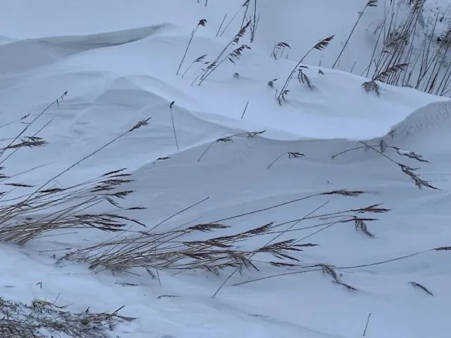 Gulfhof Polder72 Polder72 7 Here Dornum